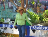 Paseo por la Mansión de la Fresa