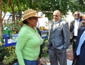 Strawberry Mansion Walking Tour