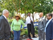 Strawberry Mansion Walking Tour