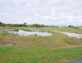 Whitemarsh Tour