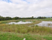 Whitemarsh Tour