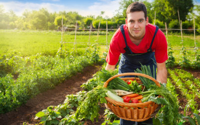 Los demócratas del Senado impulsan una ley para ayudar a los agricultores, reforzar la agricultura local y desarrollar los mercados