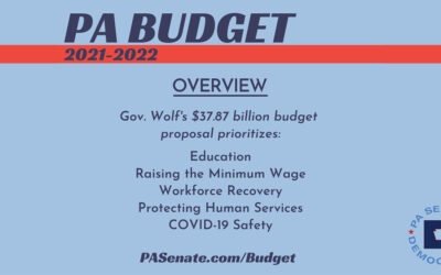 Follow along live with 2021-22 Pa. Senate Budget Hearings live
