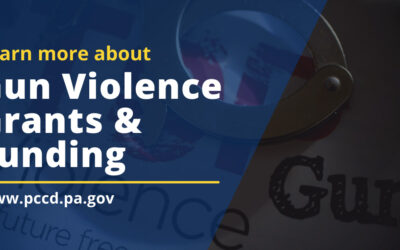 APPLY NOW: Important Funding for Violence Prevention, Prosecution, and Protection Programs Available!