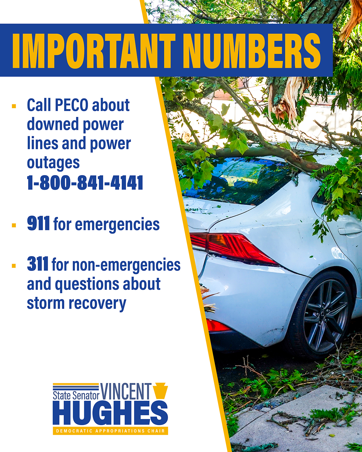 Storm Update and Resources
